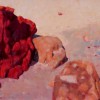 Coloured Rocks