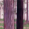 Two Bloodwoods